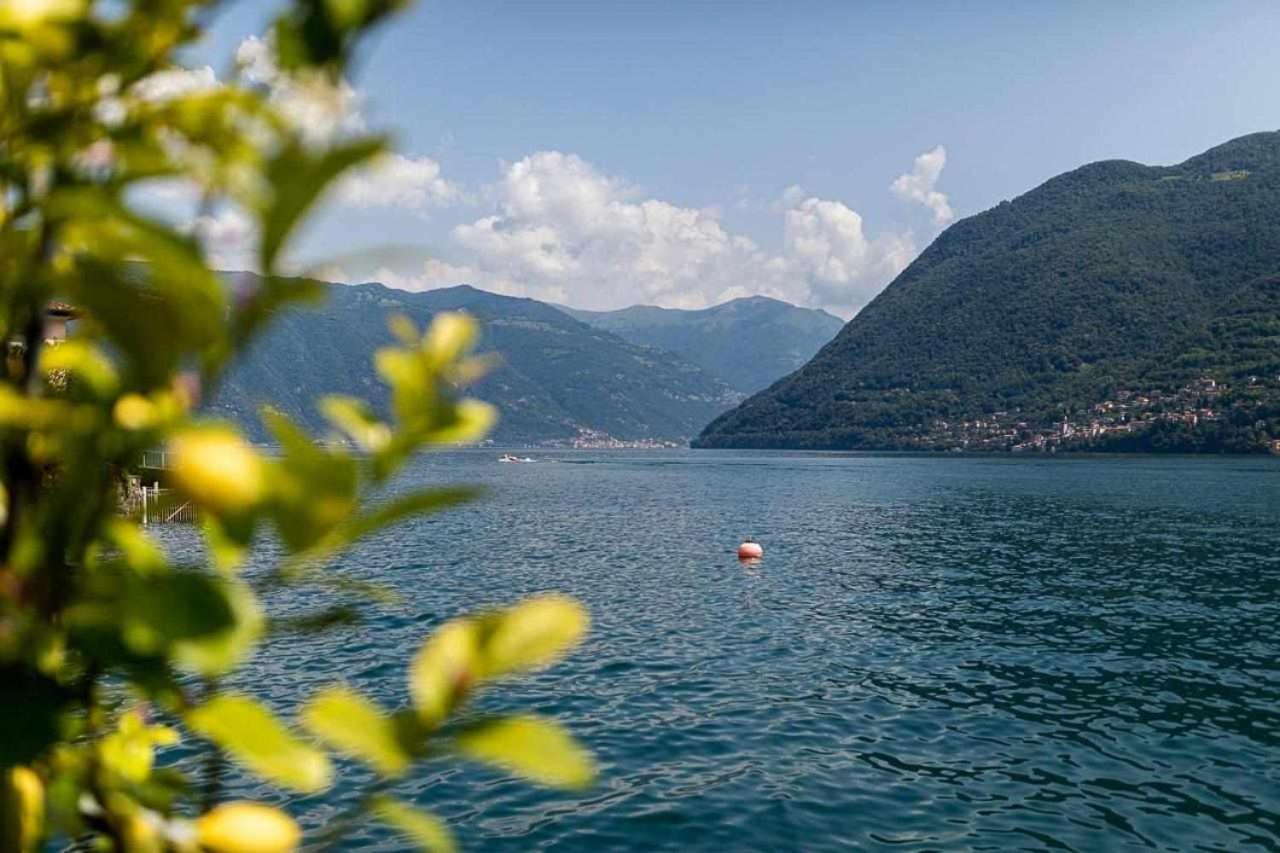 Villa Delle Edere Brienno Екстер'єр фото