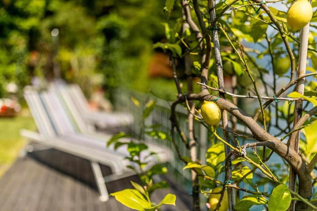 Villa Delle Edere Brienno Екстер'єр фото